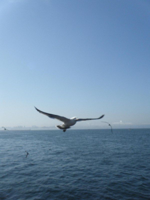 海边